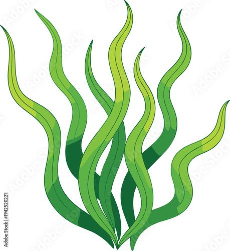Abstract Green Seaweed Vector Illustration with Wavy Kelp Leaves and Aquatic Underwater Plant Elements for Marine Biology Graphics and Nature Inspired Designs