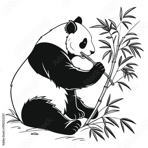 Vector panda illustration eating bamboo