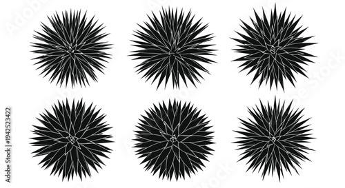 Set of black sea urchin silhouettes, spiky starburst icons, thorny plant shapes, vector marine life symbols