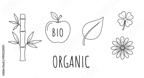 Hand drawn symbols for organic products including bamboo an apple with bio text a leaf a clover and a flower for eco and health themes.