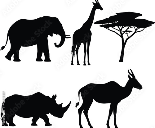 African wildlife silhouettes set, elephant giraffe rhinoceros and antelope with acacia tree, safari animals collection isolated vector illustration