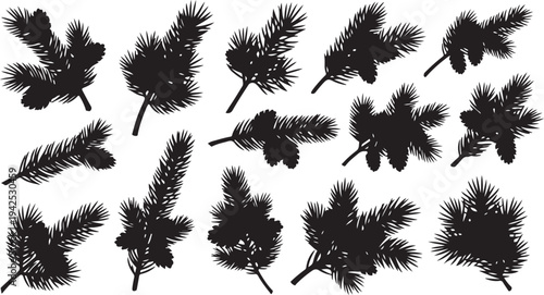 Collection of pine tree branch silhouettes on white background