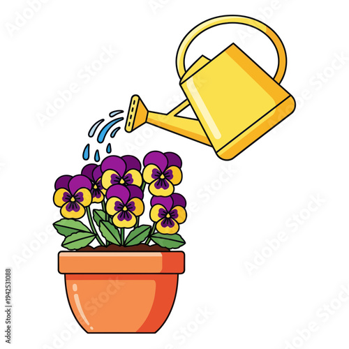 Watering Pansy Flowers in Orange Pot with Yellow Watering Can