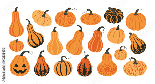 Extensive collection of diverse pumpkins and gourds in different shapes and colors including a jack o lantern on a white background.