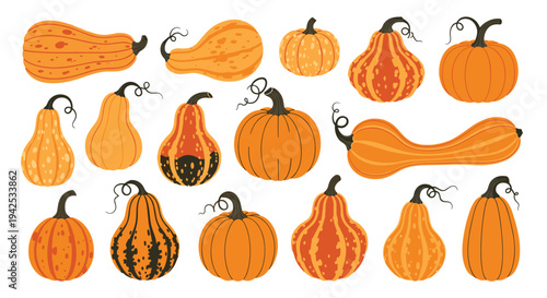 Diverse collection of orange pumpkins in various shapes, sizes, and textures including long, round, and warty gourds on white background.
