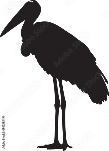  Marabou Stork in silhouette on white background.