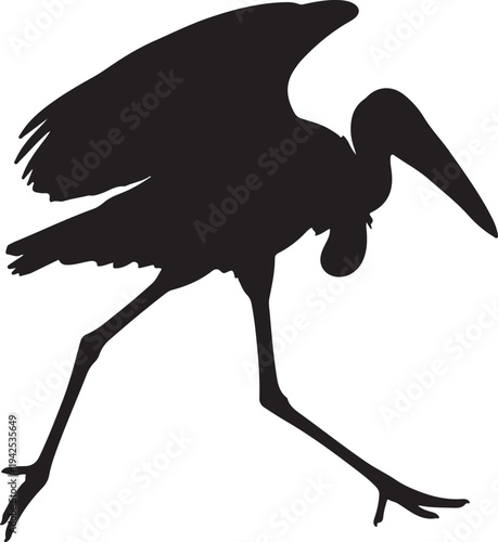 Marabou Stork runing in silhouette on white background.
