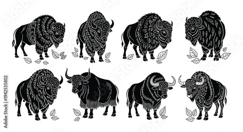 Detailed black and white illustration of various bison and cattle breeds