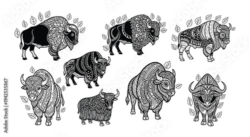 Detailed black and white illustration of various bison and cattle breeds