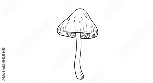 Elegant black and white hand drawn sketch of a single mushroom with a tall stem and delicate gills isolated on a clean white background.
