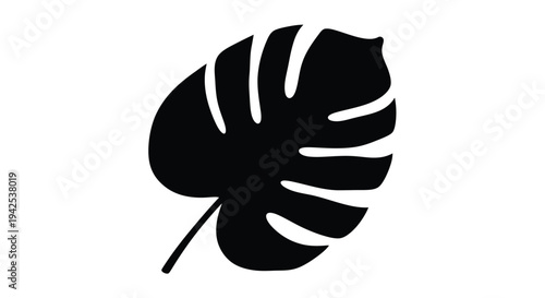 A single monstera leaf illustration in stark black and white