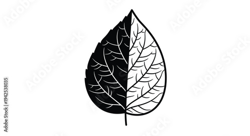 A single leaf depicted with a stark black and white contrasting design