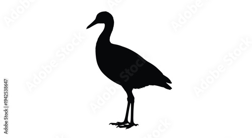 Silhouette of a graceful bird possibly a crane standing in profile