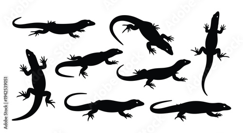 Silhouettes of various lizards in different poses and orientations