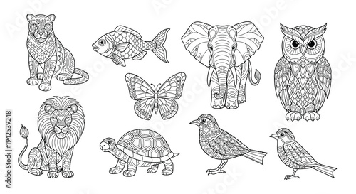 Detailed drawings of various animals with intricate zentangle patterns