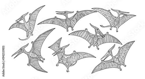 A collection of intricately detailed pterosaur illustrations in black and white