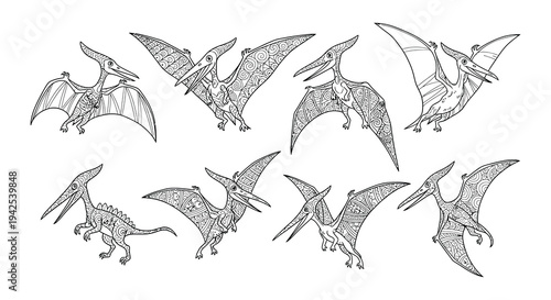 A collection of intricately detailed pterosaur illustrations in black and white