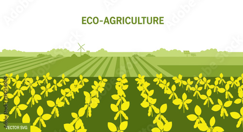 Eco-Agriculture Landscape with Rows of Yellow Plants and Field