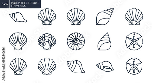 Seashell Icons Set - Ocean, Beach, Summer, Marine Life