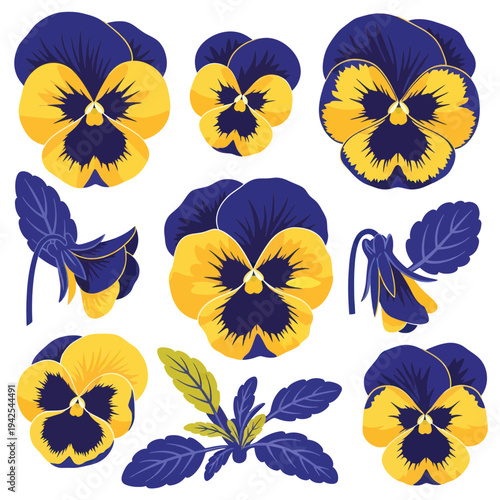 Vibrant Pansies: Yellow and Purple Flowers Collection Isolated on White