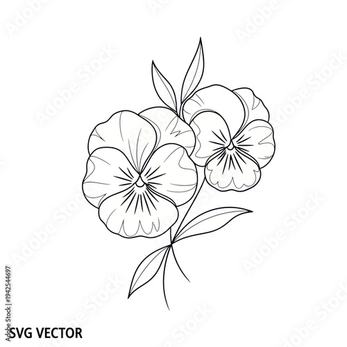 Pansy Flower Outline Vector Illustration
