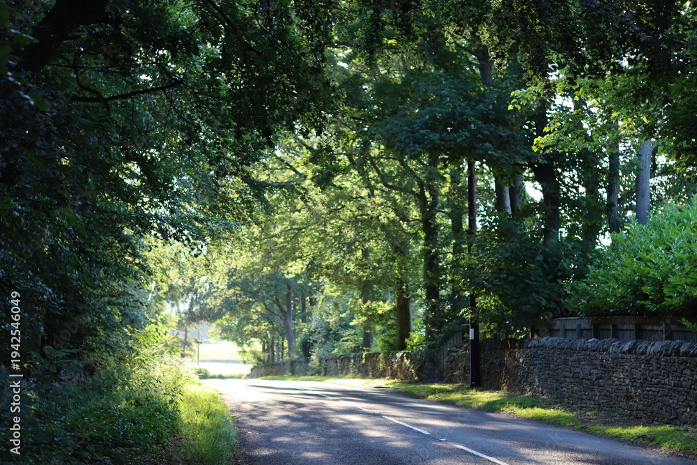 Obraz premium Countryside lane in summer surrounded by trees