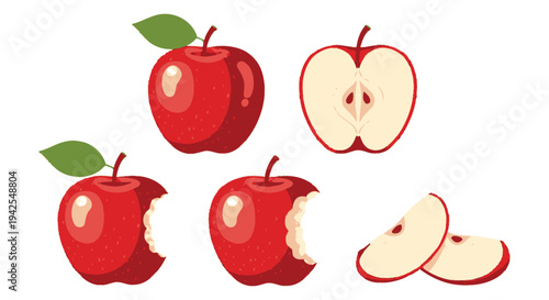 Vibrant red apple vector illustration showing whole, bitten, half, and sliced fresh fruit pieces.
