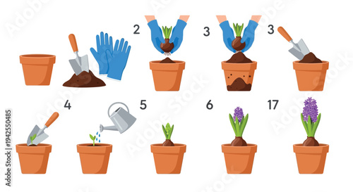 Step by step gardening illustration showing planting and growth a dark silhouette