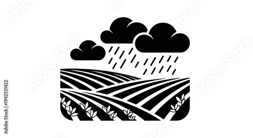 Rainy day on farm fields.