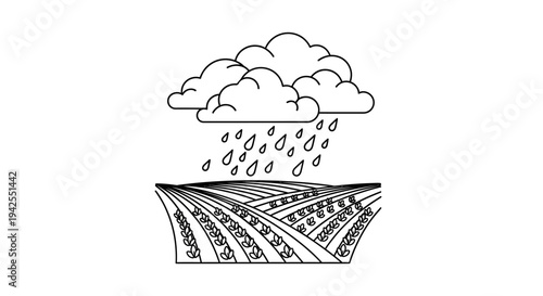 Rain Falling on Agriculture Field Crops.