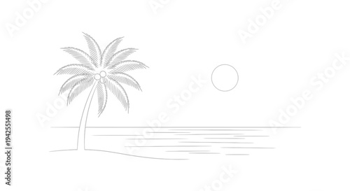 Palm tree standing alone on beach.