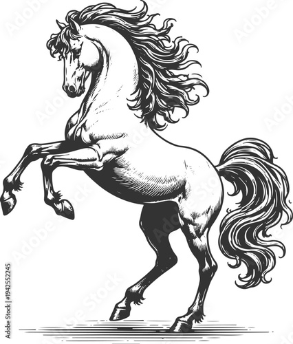 Vintage rearing horse engraving illustration wild stallion vector