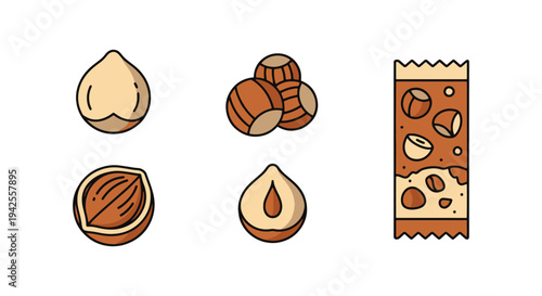 Hazelnut Snack Line art vector clean modern abstract illustration