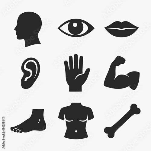 A set of human body parts icons focuses on simplicity, elegance, and ease of recognition. Vector Sign for Logos, Labels, and Icons