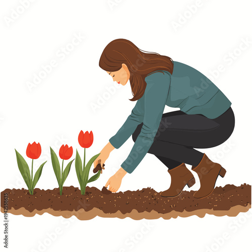 A woman planting tulip bulbs in a neat row in rich soil, embodying a serene gardening concept for spring renewal. , vector style simple color