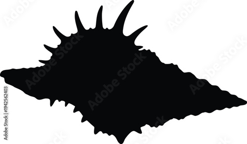 Black Silhouette of Spiky Seashell Isolated on White Background for Nautical Design and Decor