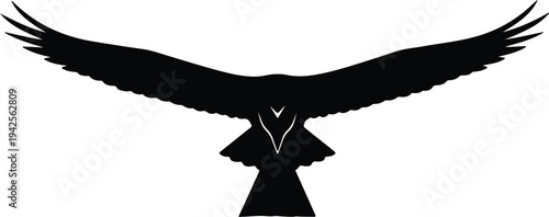 Silhouette of a bird with outstretched wings vector design