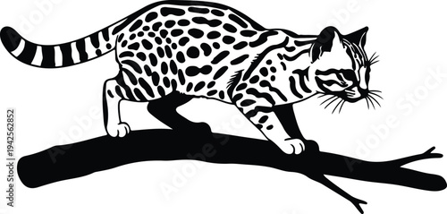 Silhouette of a cat walking on a tree branch vector design