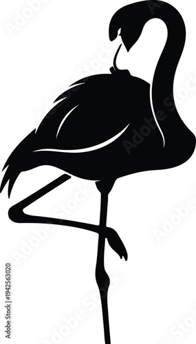 Silhouette of a flamingo standing on one leg vector design