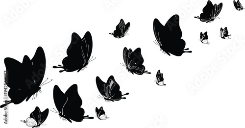 Black Silhouette Butterflies Flying in Formation on White Background Vector Illustration