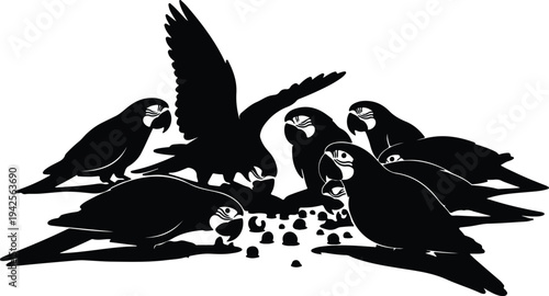 Silhouette of parrots feeding on fish vector design