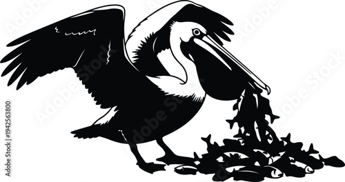 Silhouette Pelican Bird Feeding on Fish School vector design