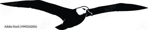 Silhouette seagull bird flying in air vector design