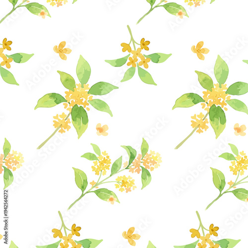 Hand drawn watercolor fragrant orange osmanthus illustration, autumn flower, kimmokusei／金木犀