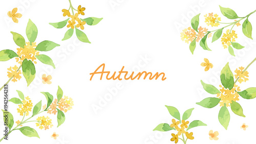 Hand drawn watercolor fragrant orange osmanthus illustration, autumn flower, kimmokusei／金木犀