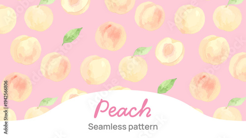 Hand drawn watercolor white peach illustration, fresh ripe fruit with soft pink texture／白桃