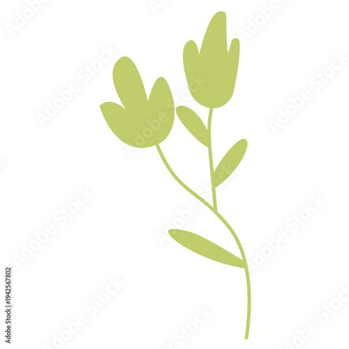 Fresh green plant sprouts growing naturally outdoors