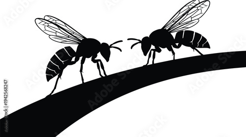 Vector illustration of two bees on a branch in minimalist black silhouette style isolated on white background, perfect for nature, insect, wildlife, ecology, and spring season design project concepts.