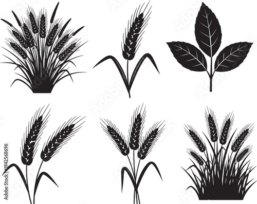 Black silhouettes of wheat stalks and leaf elements, agricultural grain plant vectors, organic cereal ear icons for bakery and nature graphic design projects
