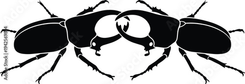 Two rhinoceros beetles silhouette facing each other in confrontation, black and white vector illustration of dueling stag beetles or insects for nature, wildlife, and concept designs.